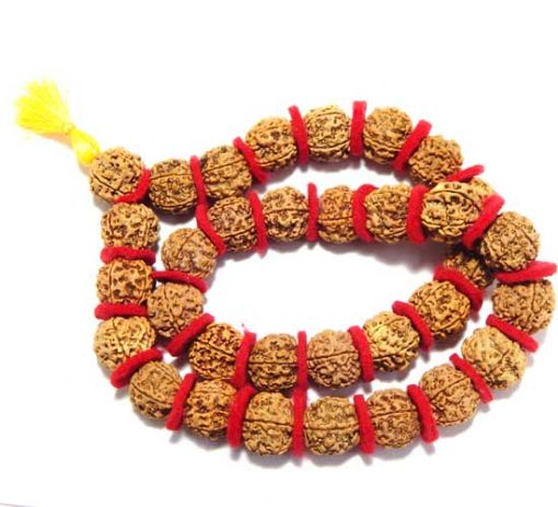 Rudraksha Kantha Mala