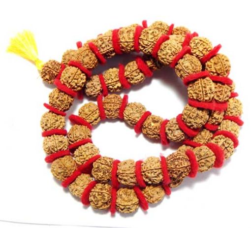 Rudraksha Kantha Mala