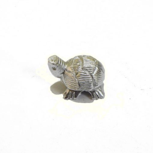 Parad Turtle