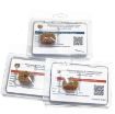 Ganesh Rudraksha Lot
