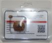 Twelve Mukhi Rudraksha
