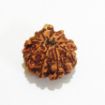8 mukhi Nepali Rudraksha