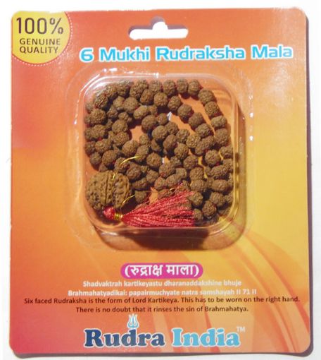 6 Mukhi Rudraksha Mala with 6 Mukhi Nepali Rudraksha