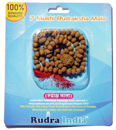 7 Mukhi Rudraksha Mala with 7 Mukhi Nepali Rudraksha
