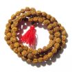 4 Mukhi Rudraksha mala