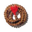 6 Mukhi Rudraksha Mala