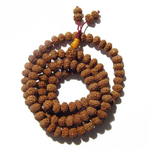 Eight Mukhi Rudraksha Mala