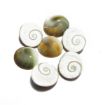 Green Gomti Chakra