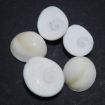 Gomti Chakra Big White