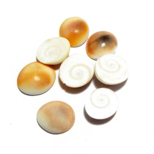 Gomti Chakra Orange