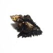 Shani Shankh (Conch)