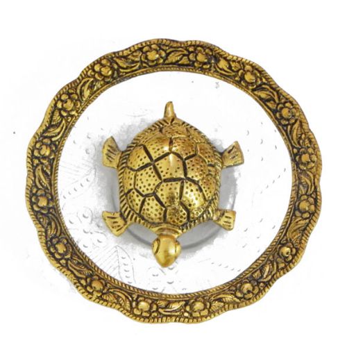 Tortoise in Glass Plate