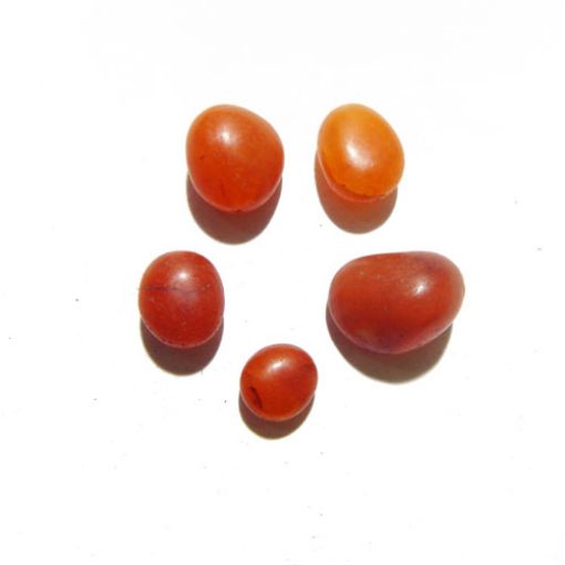 Natural Red Carnelian Tumble 
