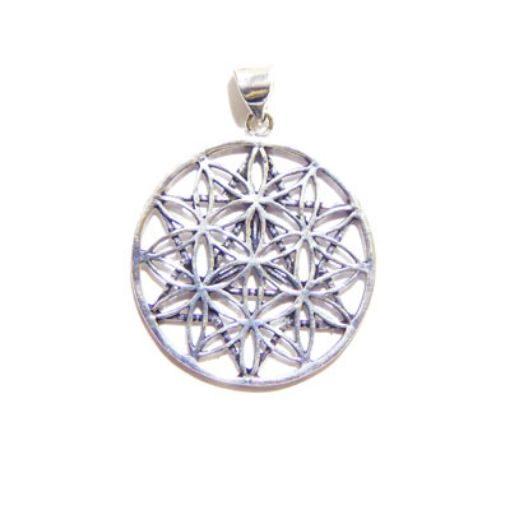 Brass Flower Of Life Pendant
