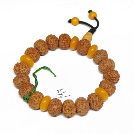 7 Mukhi Rudraksha Bracelet