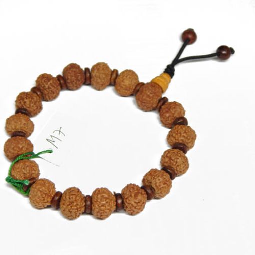7 Mukhi Rudraksha Bracelet