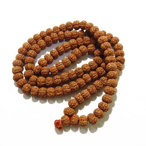 6 Mukhi Super Quality Rudraksha Mala