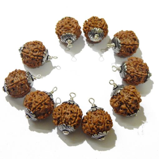 Six Face (Mukhi) Nepali Rudraksha Pack
