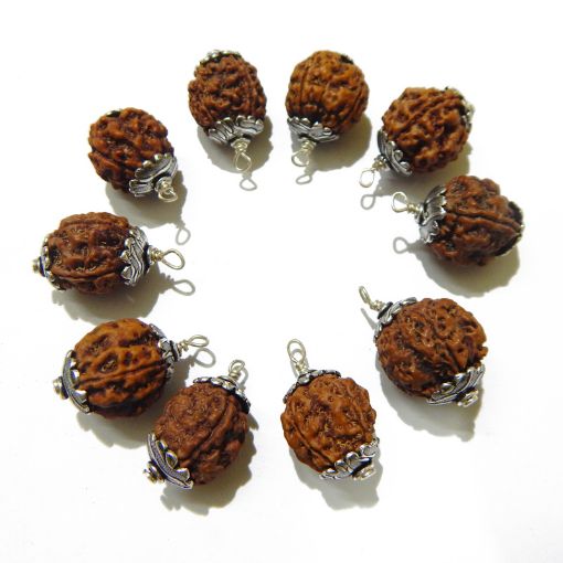 Capped Four Mukhi Nepali Rudraksha Pack