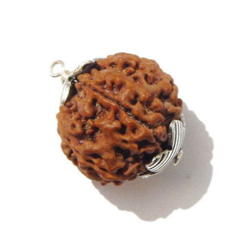 Six Mukhi Rudraksha Pendant