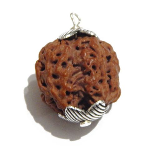 Four Mukhi Nepali Rudraksha Pendant