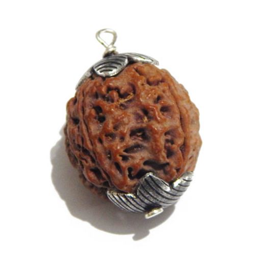 four mukhi nepali rudraksha Pendant
