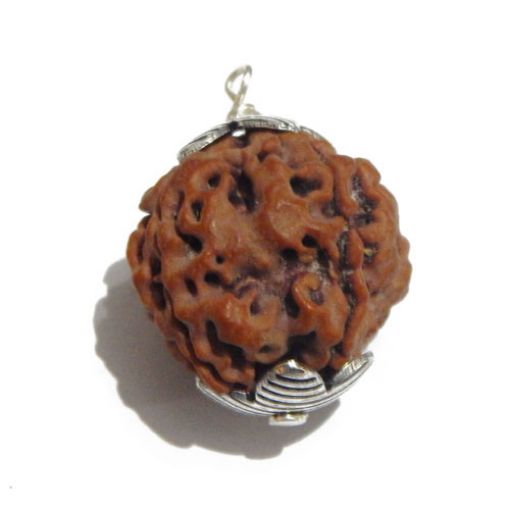 Four Mukhi Nepali Rudraksha Pendant