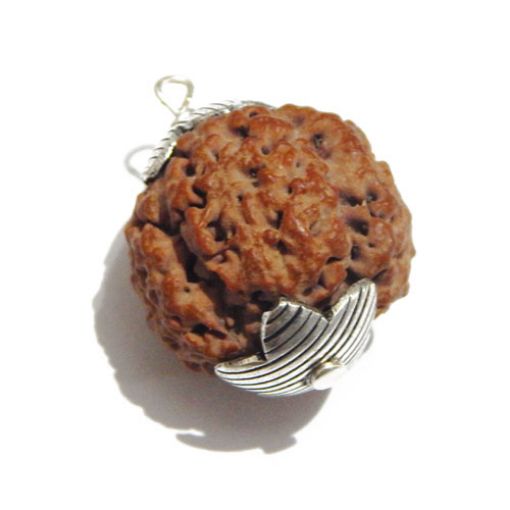 four mukhi nepali rudraksha Pendant