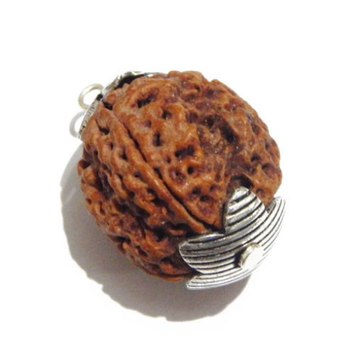 four mukhi nepali rudraksha Pendant