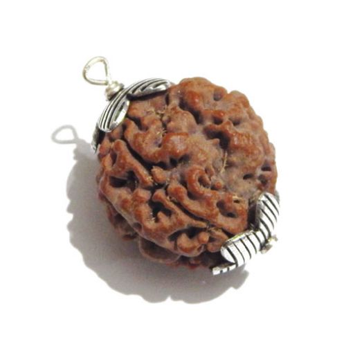 four mukhi nepali rudraksha Pendant