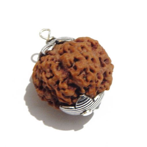 Six Face Rudraksha Pendant