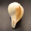Big size Blowing Shankh